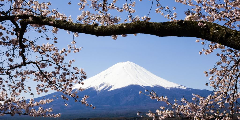 Tag på et udvekslingsår til Japan